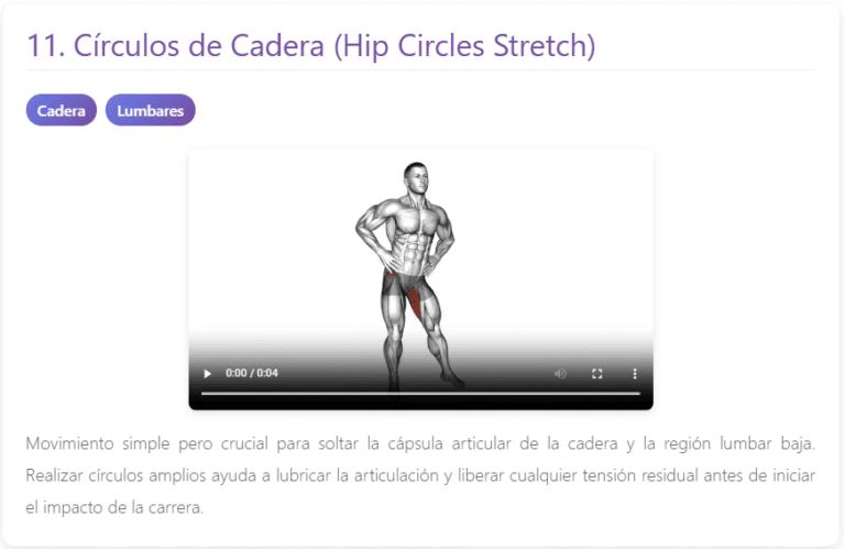 Circulos de Cadera